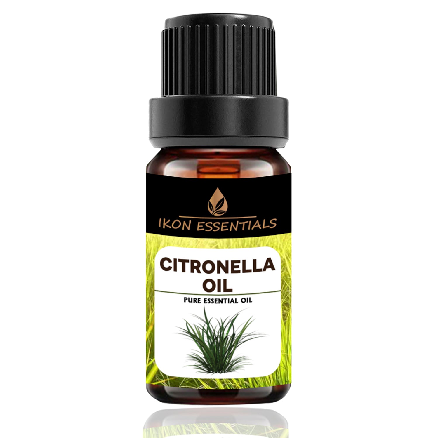 Citronella Oil