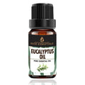 Eucalyptus Oil