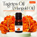 Tagetes Oil (Marigold Oil)