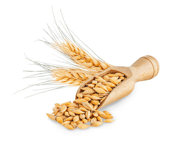 Wheat Germ Oil