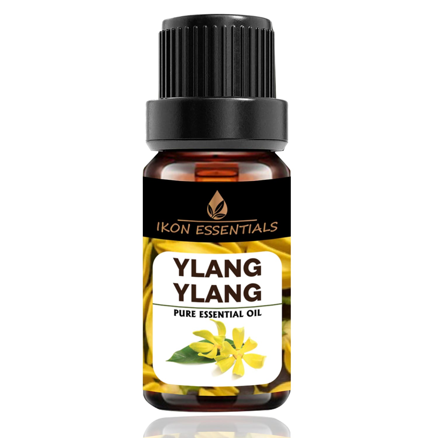 Ylang Ylang