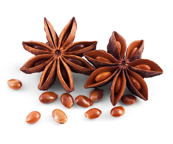 Star-Anisee-Oil